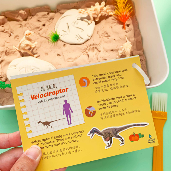 dino-fossil-4