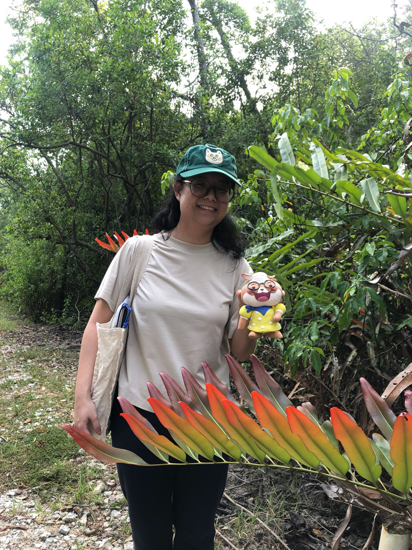 kuala-selangor-mangrove-tree-5