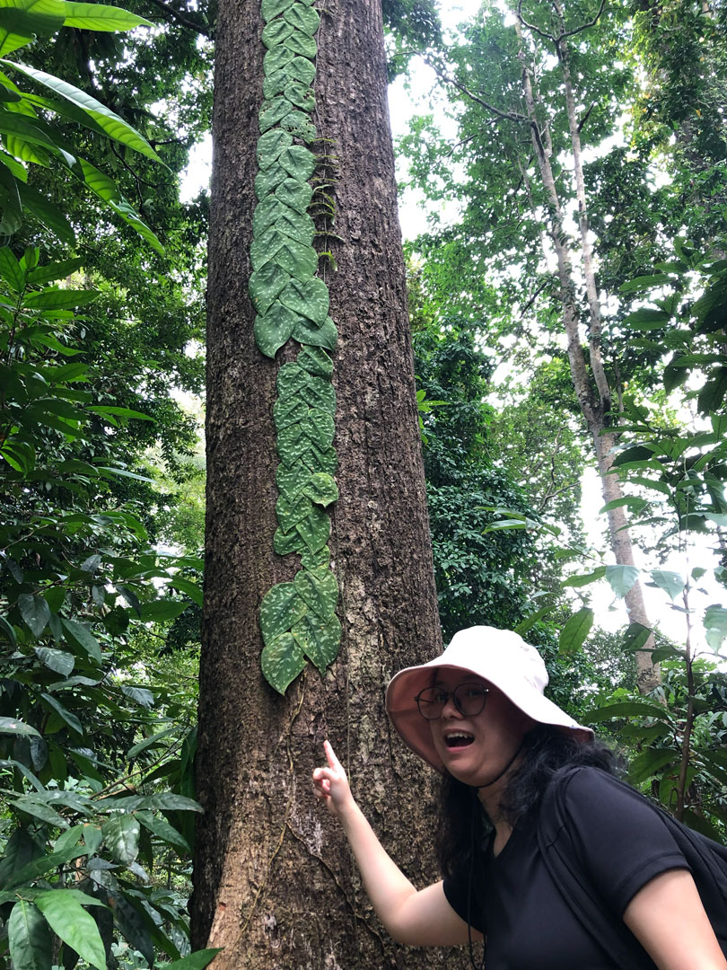ww-sandakan-8
